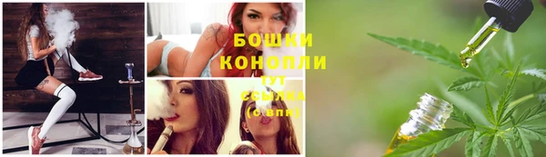 амф Верея