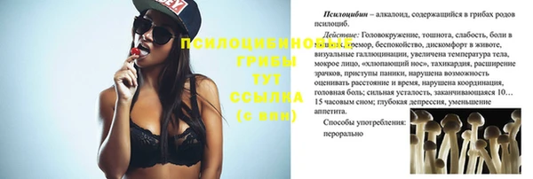 мдпв Бронницы