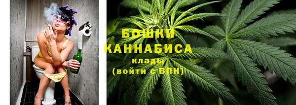 мдпв Бронницы